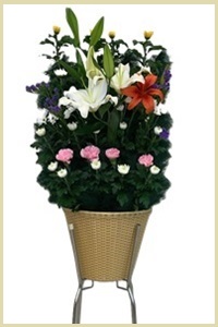 flower